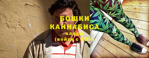 PSILOCYBIN Аркадак