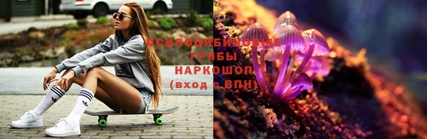 mdpv Армянск